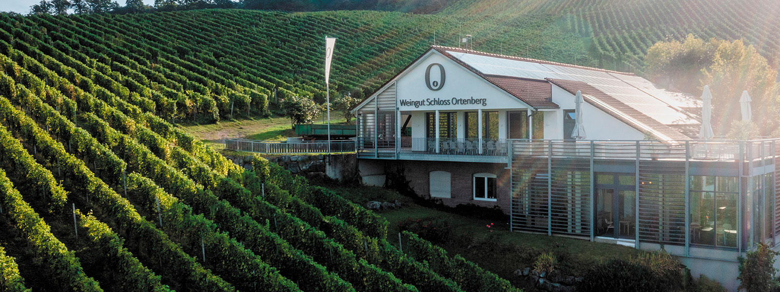 Bild vom Weingut Schloß Ortenberg umgeben von Weinbergen