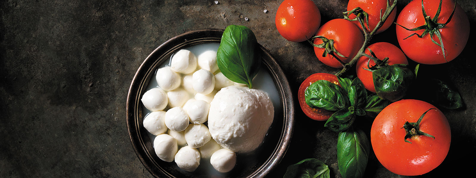 Eine Schale mit Büffelmozzarella Kugeln, Tomaten und Basilikum appetitlich angerichtet